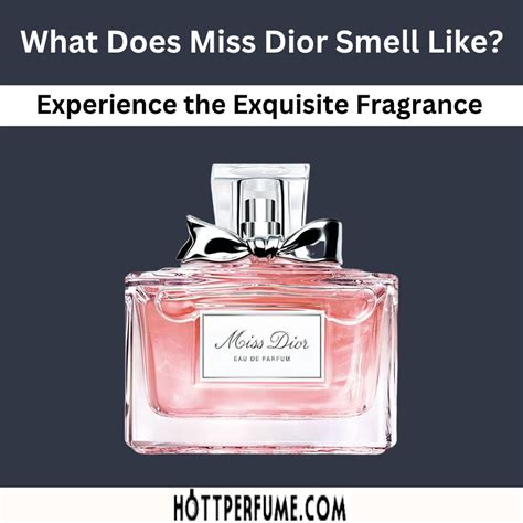 miss dior purfune|what does miss dior perfume smell like.